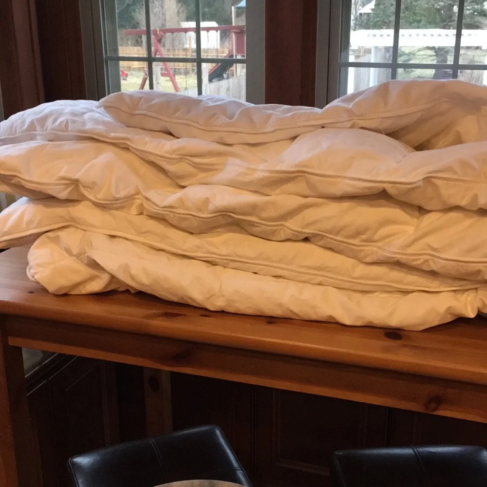 Eddie Bauer down comforter
